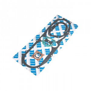 Motordichtsatz Motoforce, Minarelli stehend AC