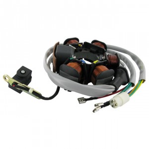 Lichtmaschine (Zündung) Motoforce, ohne Rotor, Piaggio (ab Bj. 1999)